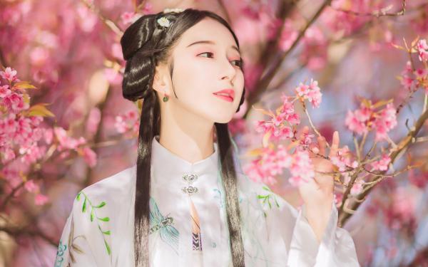 陈凡佟晓梅全章节_重回七零：知青媳妇送上门，我打猎养家小说阅读