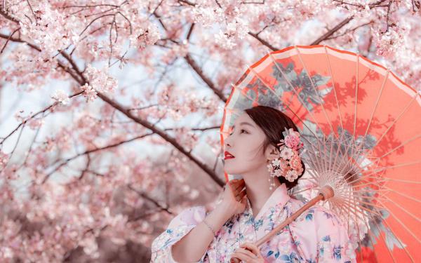 姜语霏段清野（飞花轻似梦姜语霏+全文后续）全文姜语霏段清野读无弹窗结局_(姜语霏段清野飞花轻似梦姜语霏+全文后续读全文结局)结局章节列表_笔趣阁（姜语霏段清野）