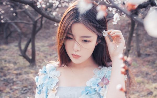 《林晚江驰》小说章节在线试读 老公牺牲五年后，却传出有了新爱人小说全文