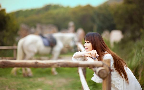 林婉儿顾泽清沈之妍最新章节 大雾散尽阳归去大结局免费在线阅读