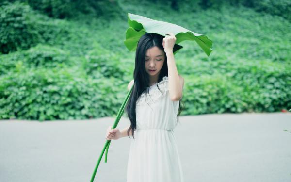 沈清浅穆朝辞（君若无情我便休/我请旨和离，踹掉渣世子当游医！）整书在线+起点章节+新章速递阅读全文免费阅读无弹窗(沈清浅穆朝辞)最新章节列表_笔趣阁（君若无情我便休/我请旨和离，踹掉渣世子当游医！）