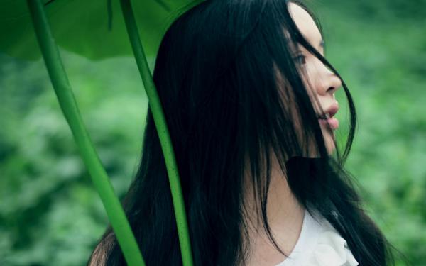 《莲烬照人归》小说章节列表精彩阅读 沈清辞段淮安小说阅读