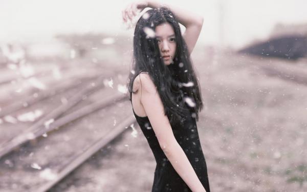 《谢婉枝周砚辞》结婚当天疯批大佬上门抢婚章节列表精彩试读