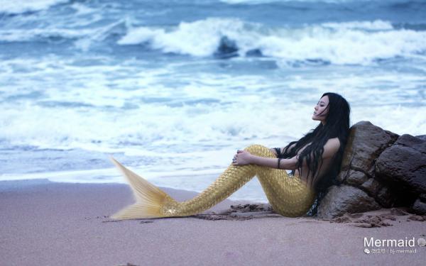 热文《因为一块芒果白眼狼女儿赶我出门，我反手撤回陆家嘴豪宅》叶清月张昊小说全文无弹窗阅读